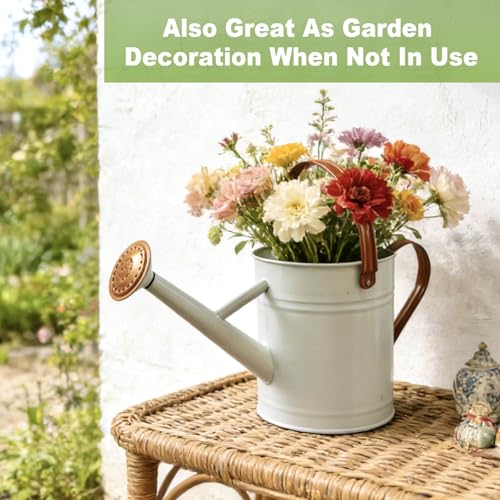 1 Gallon Watering Can for Outdoor&Indoor Plants，White - color: White