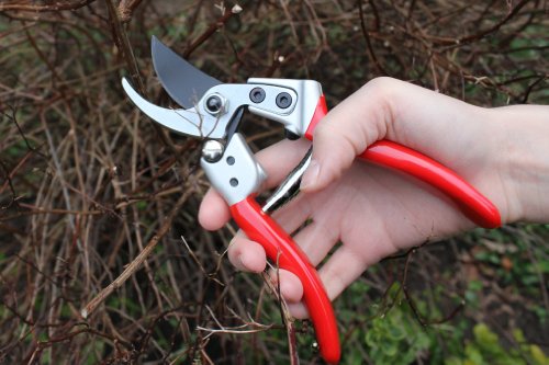 Darlac Expert Medium Bypass Pruner Garden Secateurs, DP1032 - style: DP1032 - Expert Medium Bypass Pruner