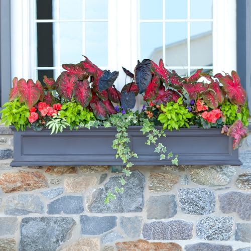 Mayne Fairfield 60in Self-Watering Rectangular Window Box Planter, Gray - color: Graphite Grey, size: 60in