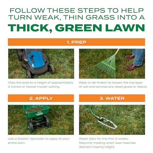 Scotts Turf Builder Thick'R Lawn Bermudagrass, 40 lbs. - size: 40 lb.