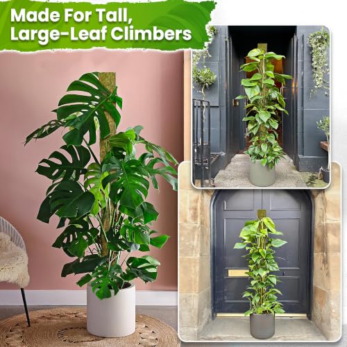 DUSPRO 59" Large D-Shape Moss Pole for Big Climbing Plants, (1pc, 59'') - size: 59" D SHAPED MOSS POLE