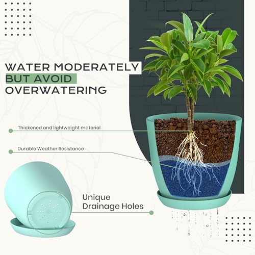 Plant Pots Indoor with Drainage, 10 Pack Multi-Size Planters Set, Aqua - color: Aqua, size: Pack of 10