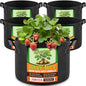 Jorvila 5-Pack 3 Gallon Grow Bags - color: Black, size: 3 Gallon