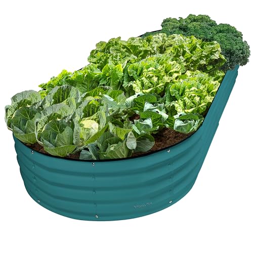 Plant & Plot Galvanized Raised Garden Beds Outdoor // 8×4×1 ft Planter Raised Beds for Gardening, Vegetables, Flowers // Large Metal Garden Box // Patented Tool-Free Design (Turquoise) - color: Turquoise, size: 8×4×1 Ft