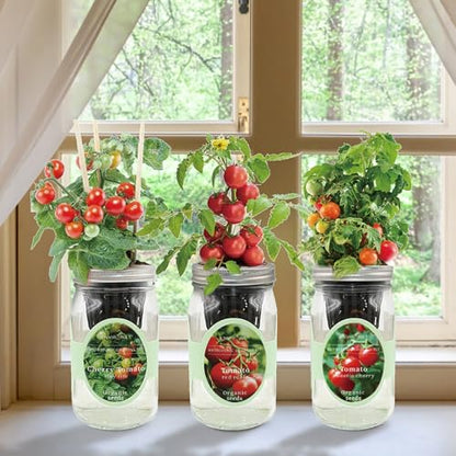 Hydroponic Mason Jar Indoor Garden Organic Seed Starter Kits - Tomato Trio Garden Growing Kits, Gardening Gift (Red Robin Tomato, Cherry Tomato - Tiny Tim, Sweetie Cherry Tomato) - color: Tomato Trio Garden Kits