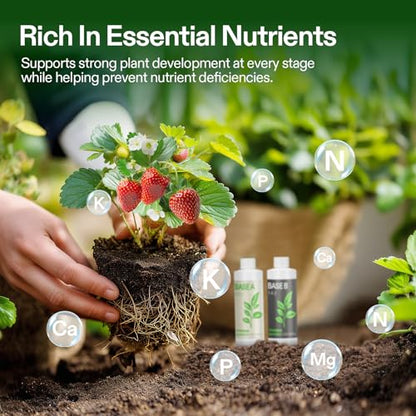 VIVOSUN Liquid Nutrients Base A & B Bundle, Set of 8oz - size: 8 Ounce