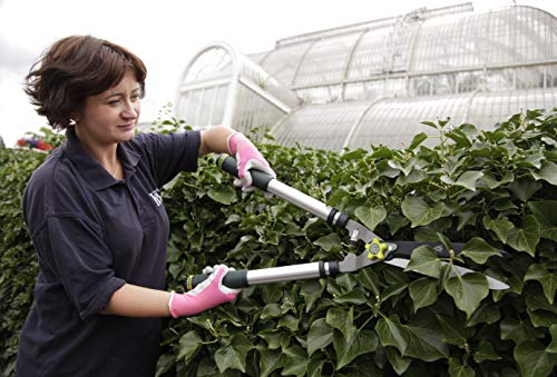 Spear & Jackson 8120KEW Kew Gardens Telescopic Hedge Shear, Blue