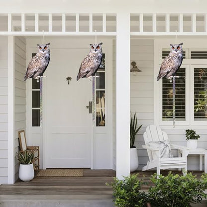 Owl to Keep Pigeons Away, 5 Pack Fake Owls, Pigeon Scare - color: Amazed Eagle 5pc