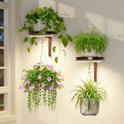 LASZOLA Plant Hanger Holder Shelf Wall Indoor with Lights, 2 Pcs Brown - color: Bronze, size: 2