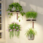 LASZOLA Plant Hanger Holder Shelf Wall Indoor with Lights, 2 Pcs Brown - color: Bronze, size: 2