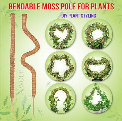 Moss Pole for Plants, 3 Pack of 28,48,63 inches