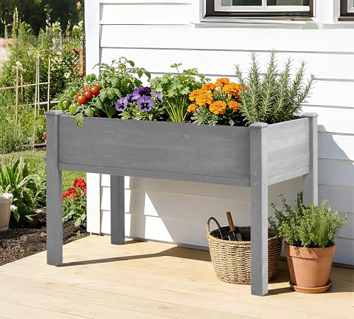 Raised Garden Bed with Legs, 48×24×30 Cedar Wood Elevated Planter Box - size: 48x24x30in (2 Units)