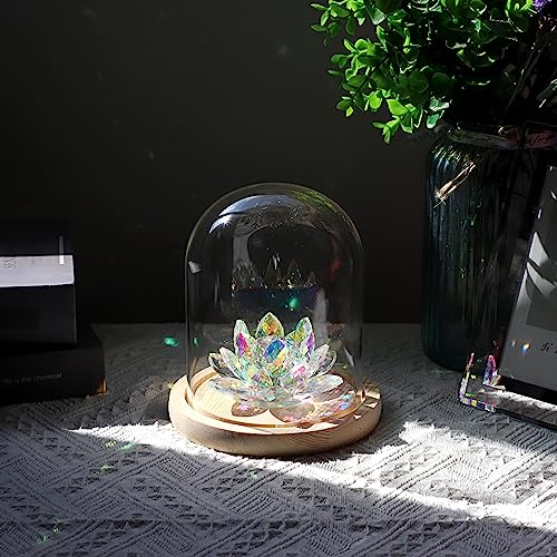 JUXYES 4.5x6 Inch Clear Glass Display Dome Cloche with Maple Wood Base