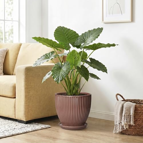 10 Inch Planter, Ceramic Flower Pot with Saucer, Rust Red - color: Rust Red, size: 10 Inch