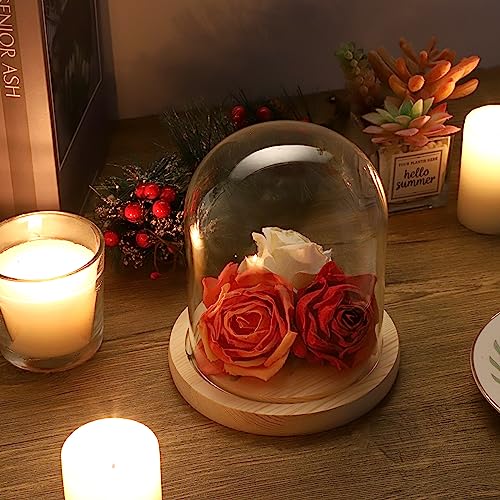 JUXYES 4.5x6 Inch Clear Glass Display Dome Cloche with Maple Wood Base