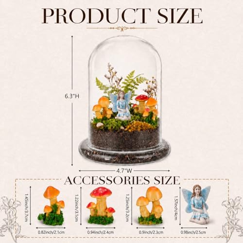 Hushee 5 Pack Decorative 1 Glass Cloche Dome 6.3'' x 4.7'' - No Plants - size: 6.3'' X 4.7''
