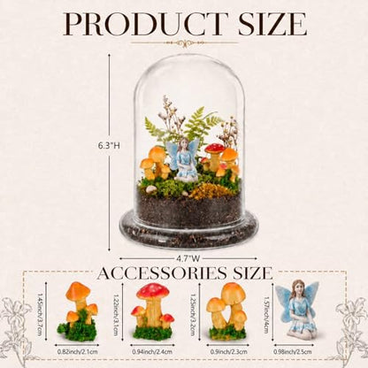 Hushee 5 Pack Decorative 1 Glass Cloche Dome 6.3'' x 4.7'' - No Plants - size: 6.3'' X 4.7''