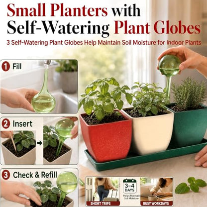 3.5" Christmas Succulent Pots, Plant Pots with Drainage Trays - color: Red,white,green