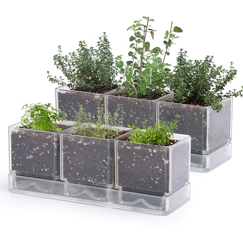 D'vine Dev 2-Pack Acrylic Herb Garden Planter Set, Clear, 76-V-D-2 - color: Clear, size: 24"