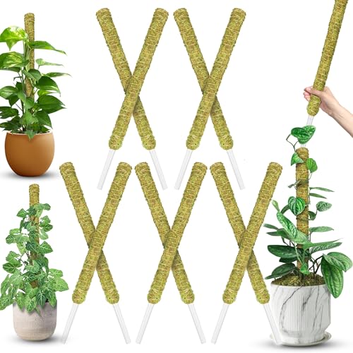 DUSPRO 10Pcs 22'' Natural Stackable Moss Pole for Plants Monstera - color: 10pcs Natural