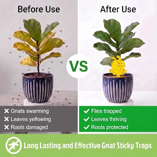 Fruit Fly Trap 96 Pack Yellow Sticky Gnat Killer Traps for Indoor Plants - size: 96 Packs