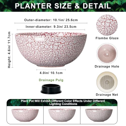 Bowl Planter 10 Inch, Ceramic Bonsai Tree Pots, Texture Red - color: Texture Red-1, size: 10 Inch