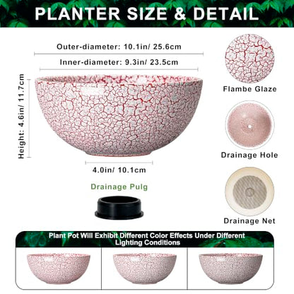 Bowl Planter 10 Inch, Ceramic Bonsai Tree Pots, Texture Red - color: Texture Red-1, size: 10 Inch