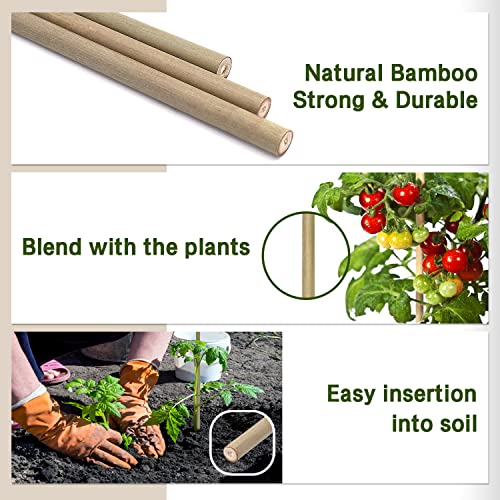 Plant Stakes,16IN Natural Garden Bamboo Sticks, 20Pcs Plant Support Stakes - size: 16 Inches, Pack of 20