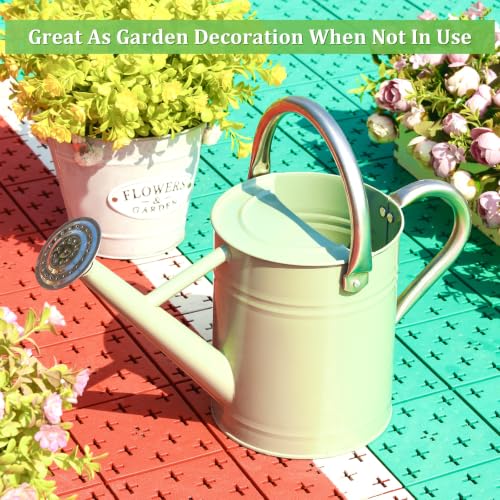 1 Gallon Watering Can for Outdoor&Indoor Plants - color: Cream Green