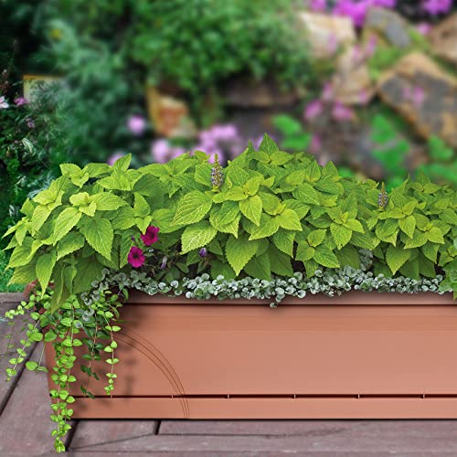 Southern Patio Medallion Windowsill Box Planter, Terracotta, 36 in, 2-Pack