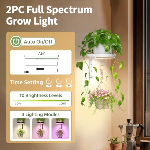 LASZOLA Plant Hanger Holder Shelf Wall Indoor with Lights, 2 Pcs White - color: White, size: 2
