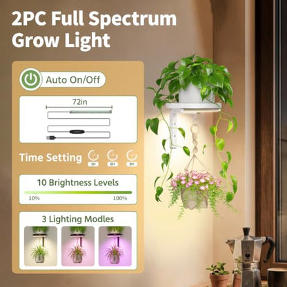 LASZOLA Plant Hanger Holder Shelf Wall Indoor with Lights, 2 Pcs White - color: White, size: 2