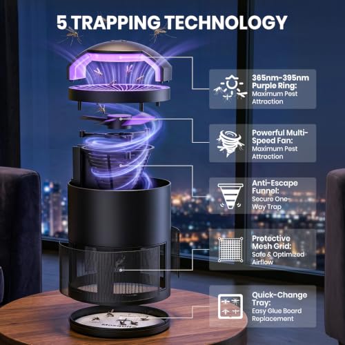 Fruit Fly Traps for Indoors, Catcher & Killer, Indoor Insect Trap