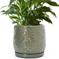 D'vine Dev Embossed Leaves Ceramic Planter, 8 in, Olive, 27-A-Q-0 - color: Olive, size: 8 Inch