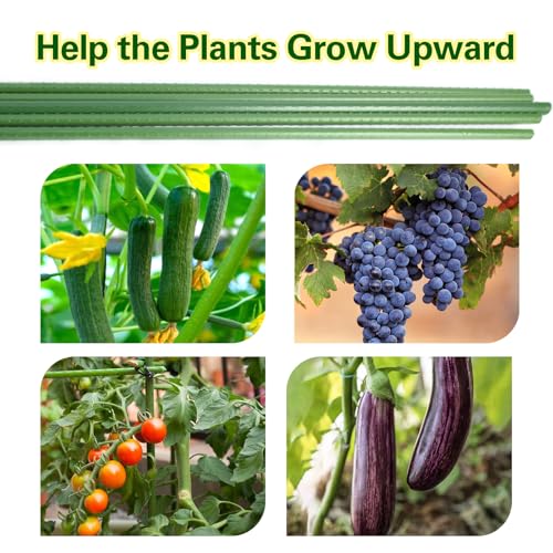 Garden Stakes 4ft, Metal Plant Stakes 48 inch, Sturdy Plant Support for Climbing Plants, Tomatoes, Beans, Cucumbers, Peppers, Flowers, Potted, Strengthen and Stem to Grow Better - size: 4FT, 25 of pack