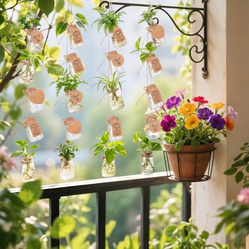 30 Pack Plant Propagation Stations, 3.35 in Shatterproof Plastic