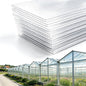 8 Pcs Greenhouse Panel, 8'FT x 4'FT x 0.24"IN Twin-Wall Polycarbonate Sheet - size: 8'FT x 4'FT x 0.24"IN