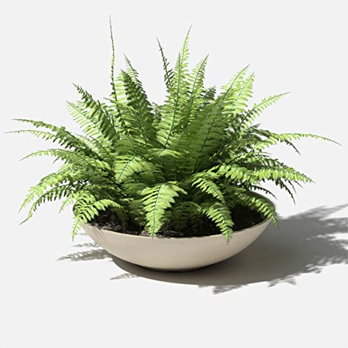 Veradek Mason Series Lane Bowl - Large Outdoor Bowl Planter - color: Sand, size: 6"H x 24"DIA