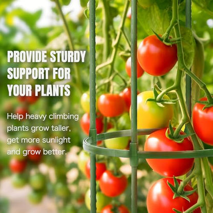 2 Pack Up to 59 Inch Height Adjustable Tomato Cages for Garden - color: Green