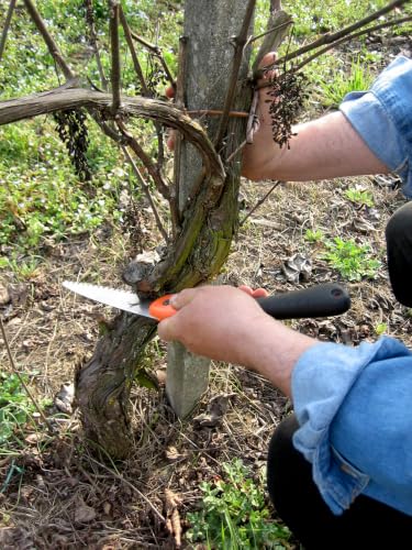 Bahco BAH396-JS Folding Pruning Saw, 7-1/2" Blade, 5 TPI JS Toothing - size: JS Toothing, style: Saw