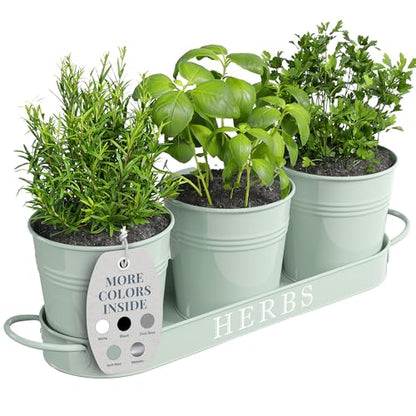 Barnyard Designs Indoor Herb Garden Planter Pots Set/3 (Soft Mint) - color: Soft Mint