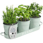 Barnyard Designs Indoor Herb Garden Planter Pots Set/3 (Soft Mint) - color: Soft Mint