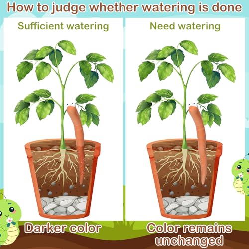 Relaxweex 12 Pcs Worm Plant Water Indicator Ceramic Moisture Sensor, 6 Inch - size: 6 Inch