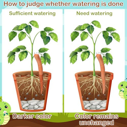 Relaxweex 12 Pcs Worm Plant Water Indicator Ceramic Moisture Sensor, 6 Inch - size: 6 Inch