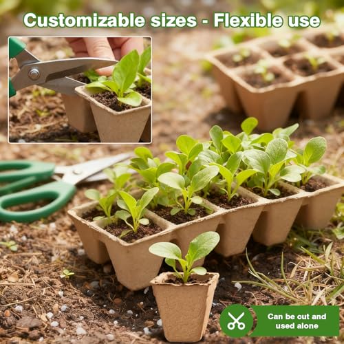240 Cells Seed Starter Tray, Plant Starter Kit for Seedlings