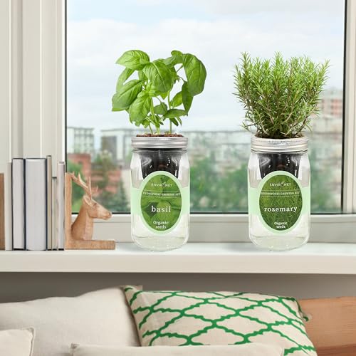 2-Pack Hydroponic Mason Jar Herb Garden Kit, Indoor Herb Garden Self-Watering Starter Kit, New Christmas Gift for Mom (Basil,Rosemary)