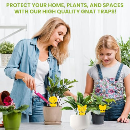 Fruit Fly Traps Indoor Fungus Gnat Trap Outdoor Yellow Sticky Traps 36pack