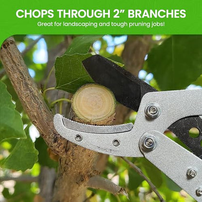 Garden Guru Extendable Anvil Lopper Tree Trimmer with Compound Action, Chops Thick Branches with Ease, 28-40”, Non-Stick High Carbon Steel Blade, Heavy Duty Branch Cutter, 2 Inch Clean Cut Capacity, 4 - size: 4 Pack, style: Extendable Anvil Lopper