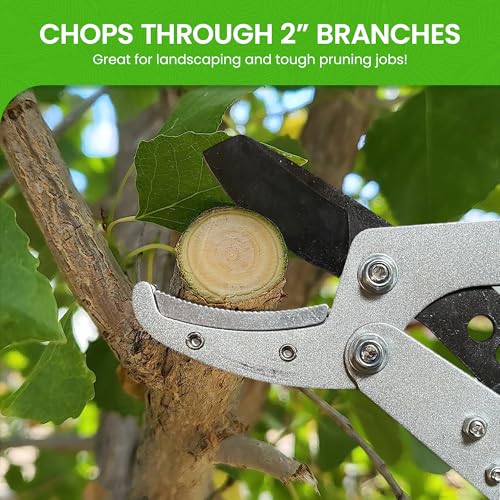 Garden Guru Extendable Anvil Lopper Tree Trimmer with Compound Action, Chops Thick Branches with Ease, 28-40”, Non-Stick High Carbon Steel Blade, Heavy Duty Branch Cutter, 2 Inch Clean Cut Capacity, 4 - size: 4 Pack, style: Extendable Anvil Lopper