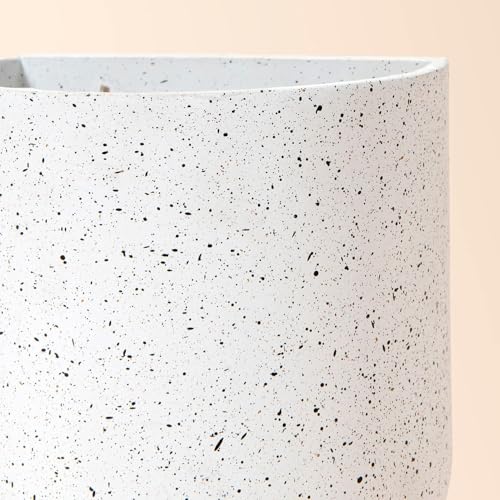 LA Jolie Muse Wall Planters for Indoor Plants, Hanging Flower Pots, 2 Pack - color: Speckled White